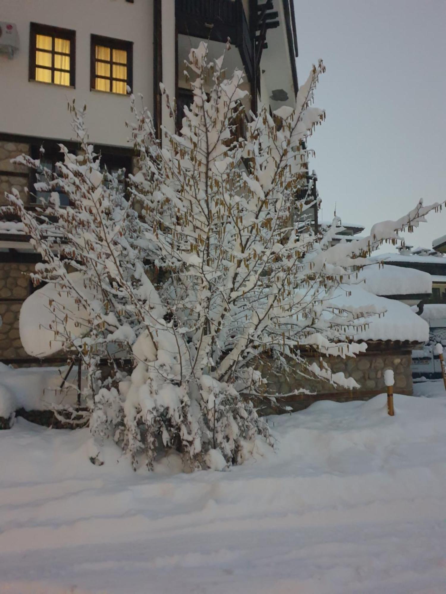 Dream Apart Hotel 207 Bansko Værelse billede