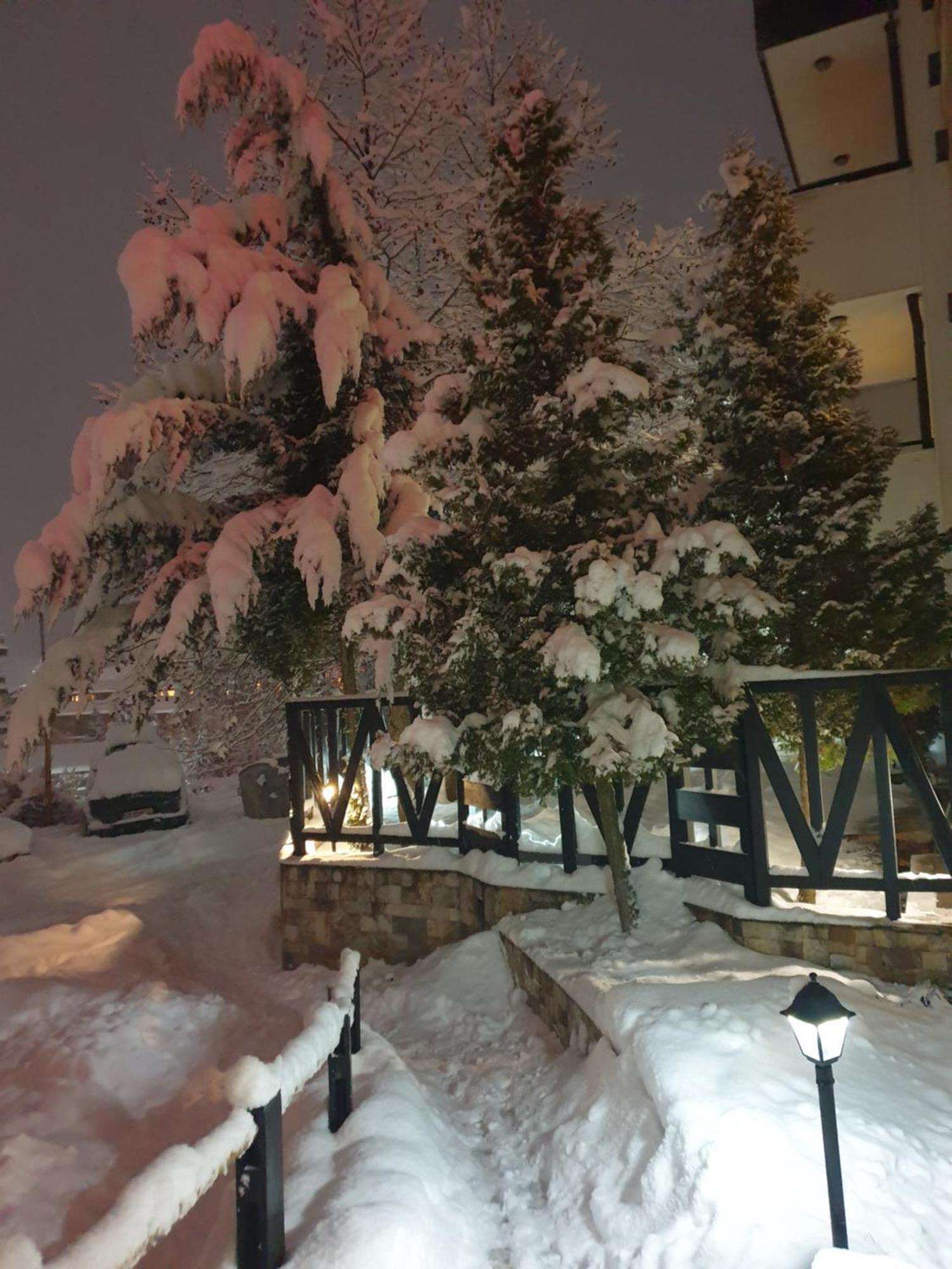 Dream Apart Hotel 207 Bansko Værelse billede